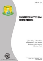 IBB_Cover2